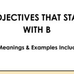 Adjectives That Start With B (Meanings & Examples Included)