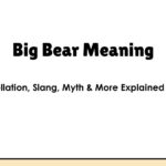 Big Bear Meaning: Constellation, Slang, Myth & More Explained Simply