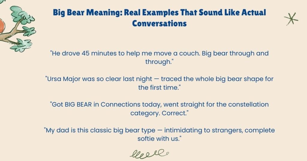 Big Bear Meaning: Real Examples That Sound Like Actual Conversations