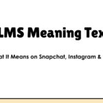 LMS Meaning Text: What It Means on Snapchat, Instagram & Chats