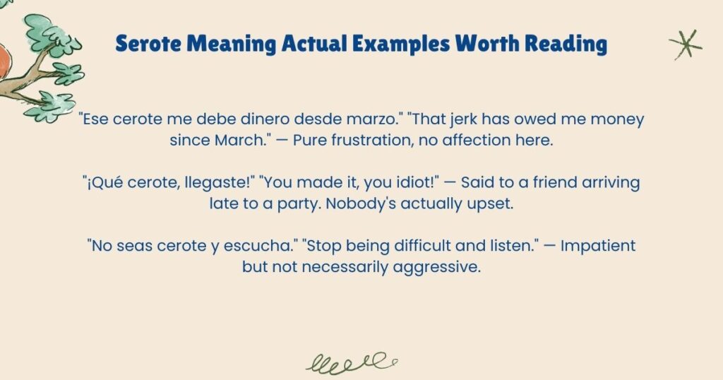 Serote Meaning Actual Examples Worth Reading