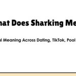 What Does Sharking Mean? The Real Meaning Across Dating, TikTok, Pool & More