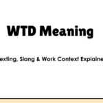 WTD Meaning – Texting, Slang & Work Context Explained