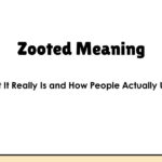 Zooted Meaning: What It Really Is and How People Actually Use It