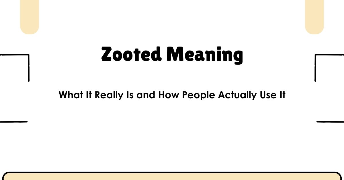 Zooted Meaning: What It Really Is and How People Actually Use It