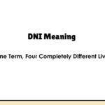 DNI Meaning — One Term, Four Completely Different Lives