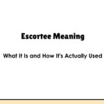 Escortee Meaning: What It Is and How It's Actually Used