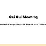 Oui Oui Meaning: What It Really Means in French and Online