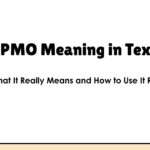 PMO Meaning in Text: What It Really Means and How to Use It Right
