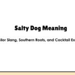 Salty Dog Meaning: Sailor Slang, Southern Roots, and Cocktail Explains