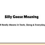 Silly Goose Meaning: What It Really Means in Texts, Slang & Everyday Life