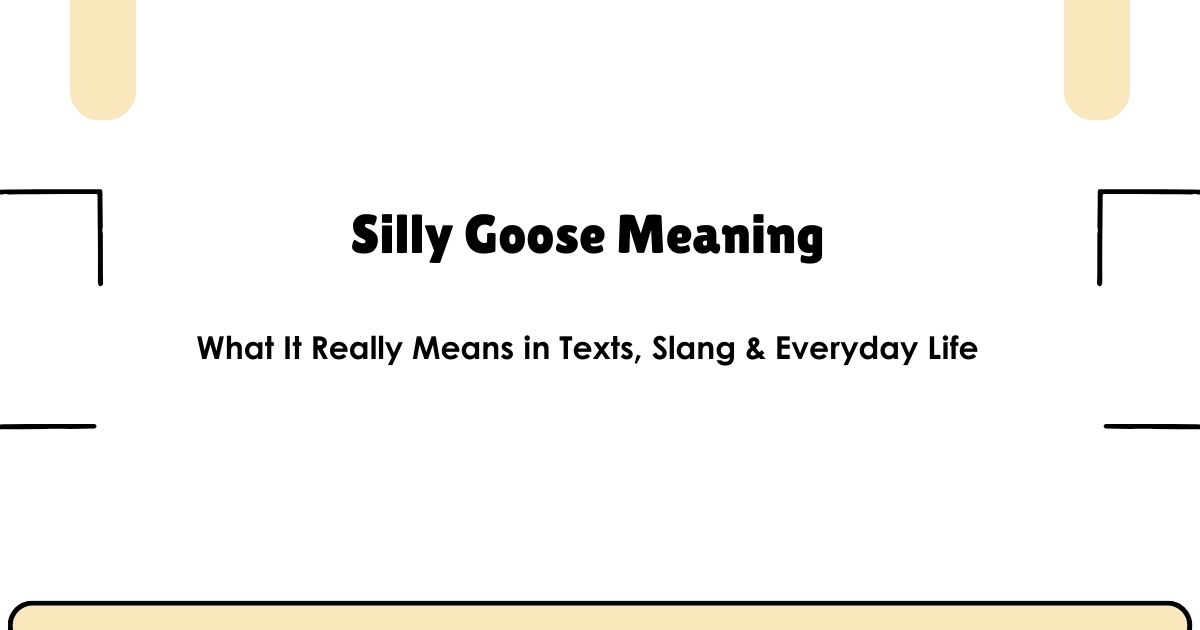 Silly Goose Meaning: What It Really Means in Texts, Slang & Everyday Life