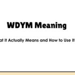 WDYM Meaning — What It Actually Means and How to Use It Right