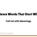 Science Words That Start With B | Full List with Meanings