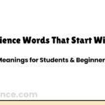 Science Words That Start With C (Meanings for Students & Beginners)