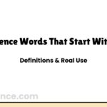 Science Words That Start With D | Definitions & Real Use