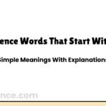 Science Words That Start With E: Simple Meanings With Explanations