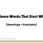 Science Words That Start With F (Meanings + Examples)