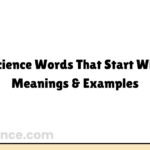 Science Words That Start With J | Meanings & Examples