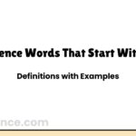 Science Words That Start With K | Definitions with Examples