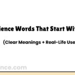 Science Words That Start With U | List with Meanings