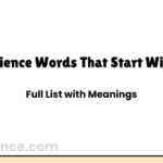 Science Words That Start With Z | Full List with Meanings