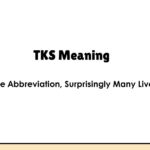 TKS Meaning — One Abbreviation, Surprisingly Many Lives