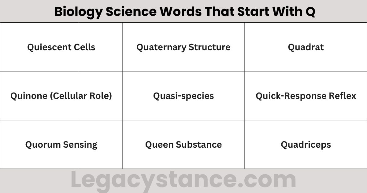 150+ Science Words That Start With Q: Meanings & Easy Guide