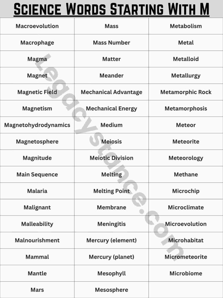 Complete Reference List — 160+ Science Words That Start With M