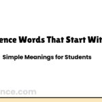 Science Words That Start With N: Simple Meanings for Students