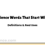 Science Words That Start With O | Definitions & Real Uses