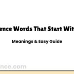 Science Words That Start With Q: Meanings & Easy Guide
