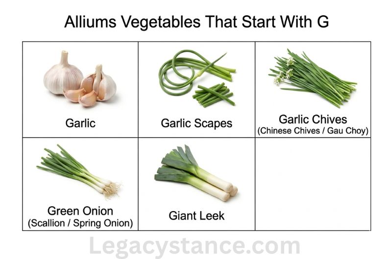 Alliums Vegetables That Start With G