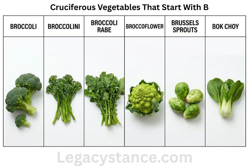 Cruciferous Vegetables That Start With B