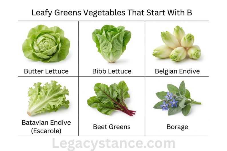 Leafy Greens Vegetables That Start With B