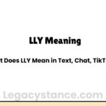 LLY Meaning: What Does LLY Mean in Text, Chat, TikTok & More