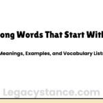 Long Words That Start With B: Meanings, Examples, and Vocabulary Lists