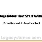 Vegetables That Start With B: From Broccoli to Burdock Root
