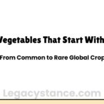 Vegetables That Start With C: From Common to Rare Global Crops