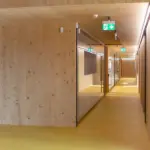 Wood Accent