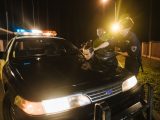 Arrest